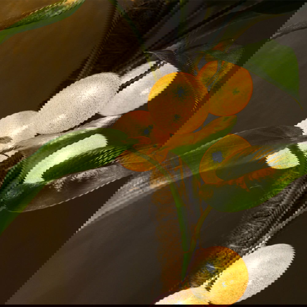 Blue Thread Ball Light - ardor