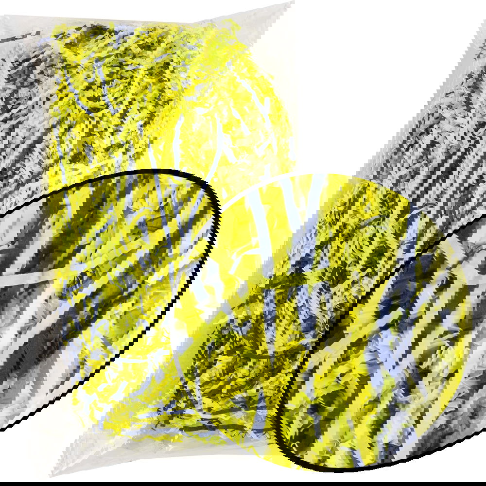 Yellow & Blue Paper Grass - ardor