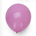 Sakura Pink latex Balloons