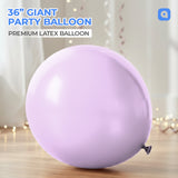 Taro Giant 36 Inch Big Size Latex Balloon – Party & Event Decoration