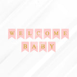Welcome Baby Bunting Banner