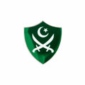 Pack of 6 - Pakistan Day Badges - Mutiple designs
