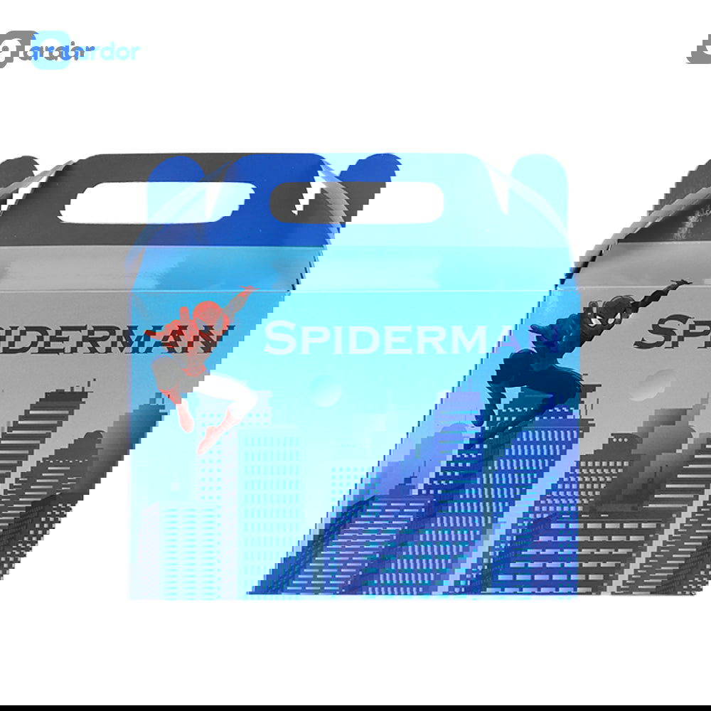 Pack of 10 Spider Man Theme Goodie Boxes - ardor