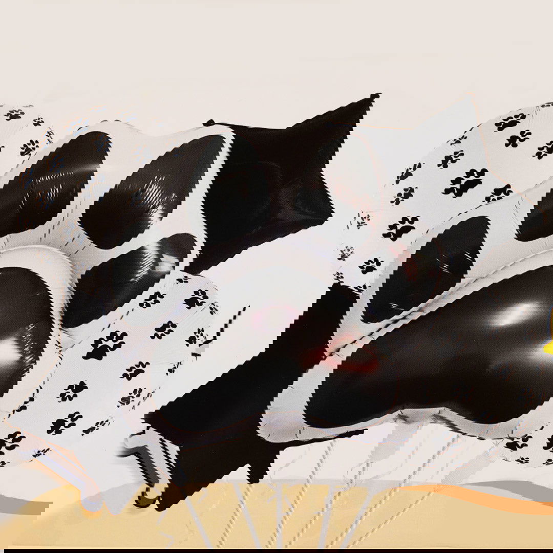 Panda Feet Foil balloons 5 Pcs Set - ardor