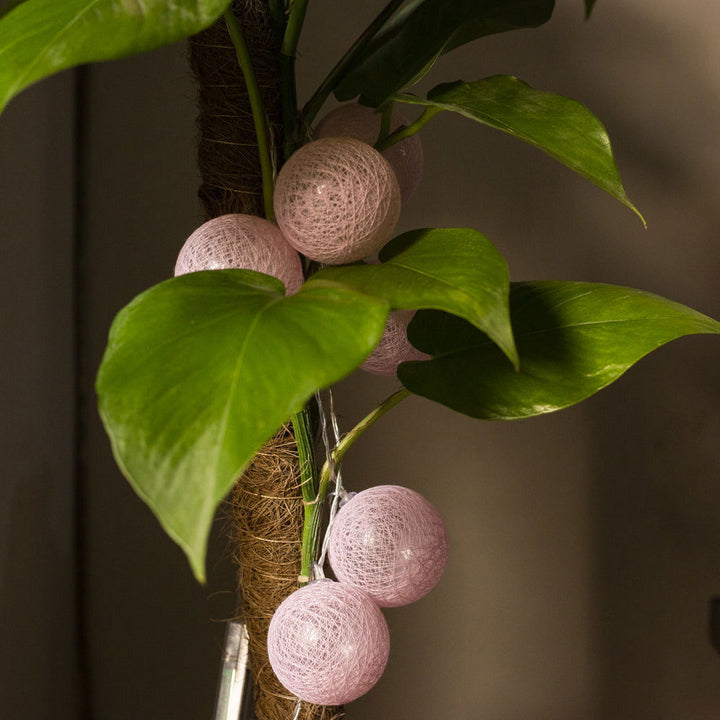 Pink Thread Ball Light - ardor