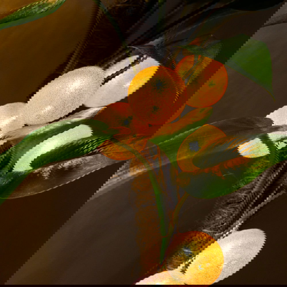 Pink Thread Ball Light - ardor