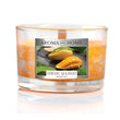 Owoc Mango Scented Candle